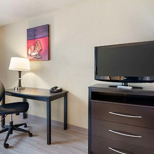 King Room Two King Beds Sofa Bed Bathtub Disability Access or Non-Smoking